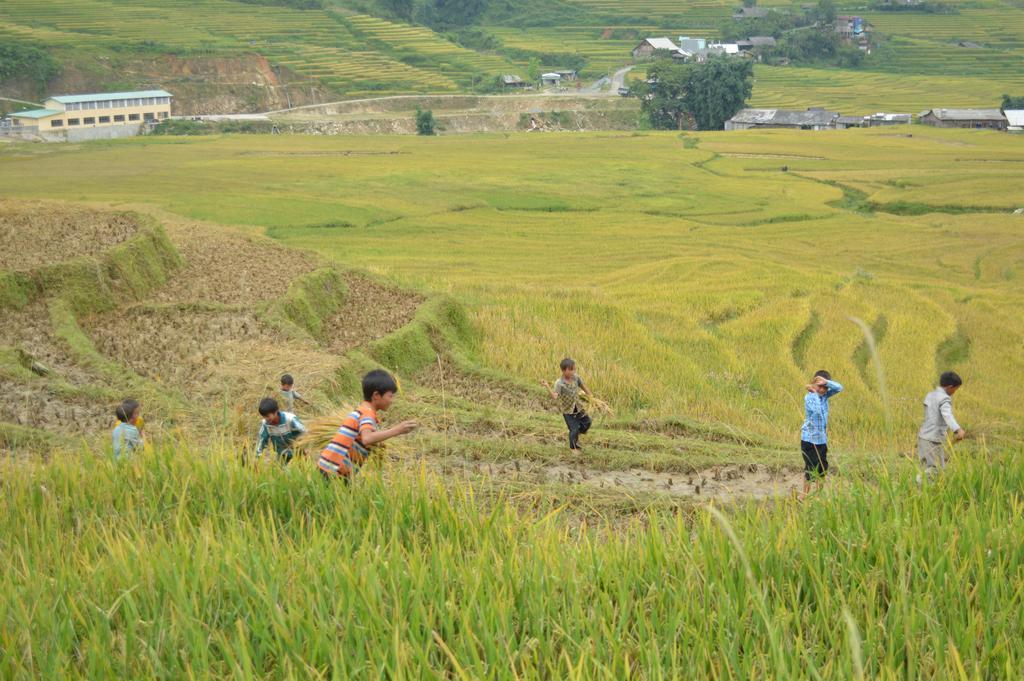 Cau May Homestay Sa Pa Luaran gambar