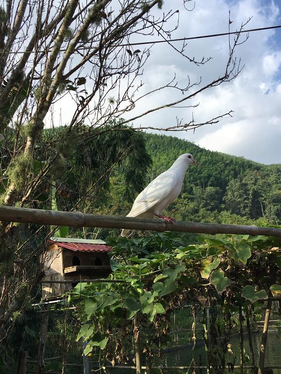 Cau May Homestay Sa Pa Luaran gambar